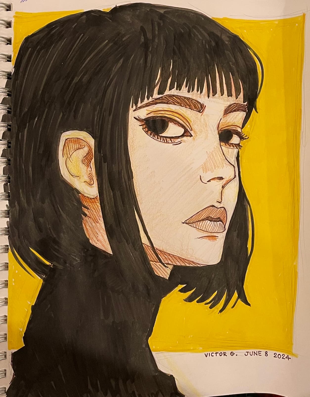 Cartoon colored portrait