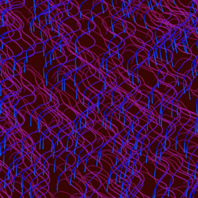 Lucid Paths Manual Generation 1