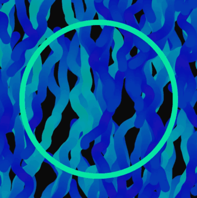 Lucid Paths Manual Generation 2